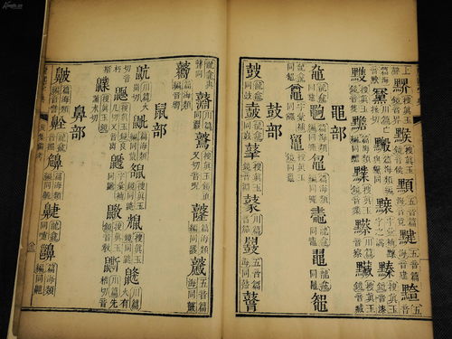 八字成语有哪些?