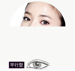 什么是鹅蛋脸,怎样才算是鹅蛋脸