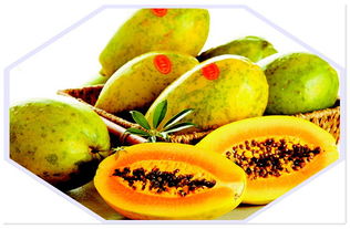 木瓜英语怎么读pawpaw，木瓜英语叫什么