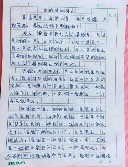 抄写作文三年级300字，抄写作文三年级菊花台