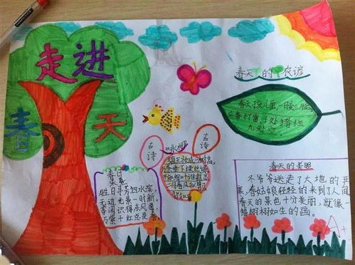 春分手抄报的内容怎么写