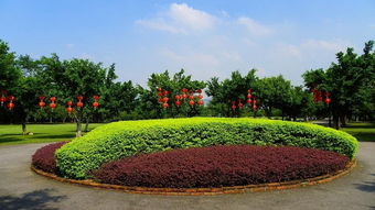 乌沙笔架山公园怎么联系