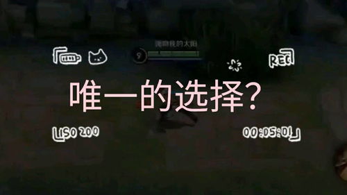 唯一的选择作文800字，正义得不到伸张,暴力就是唯一的选择