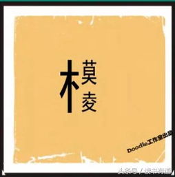 露 的成语，露出成语