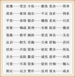 人间罕见的近义词，罕见的近义词是啥