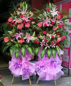 中秋节送什么花最好