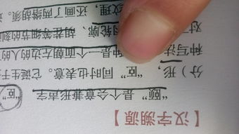 左的拼音音调怎么标的，左的拼音拼写