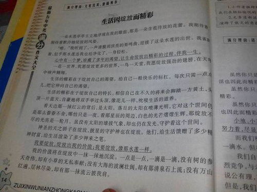 以家为话题作文