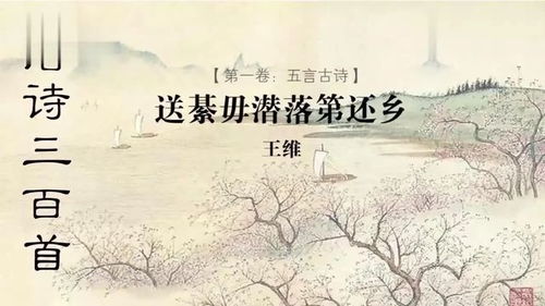 送綦毋潜落第还乡原文及翻译，送綦毋潜落第还乡讲解
