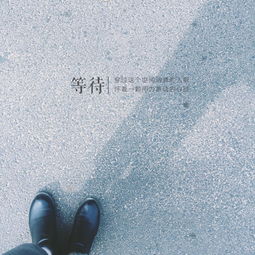 未来的每一步一脚印是什么歌歌词是什么意思，未来的每一步一脚印歌词是什么意思