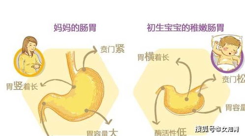 蠕动是什么意思