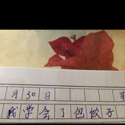 我学会了包饺子作文