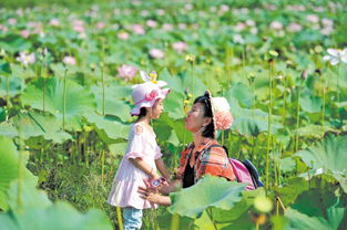 简短亲子时光感悟 简短亲子时光感悟说说