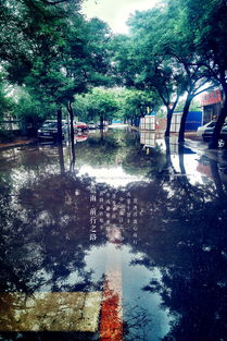 晨雨的拼音是什么?
