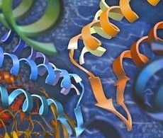 what is bacteria?