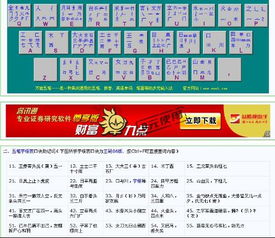 豹的五笔怎么打字