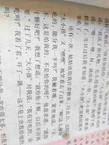 写人的作文500字