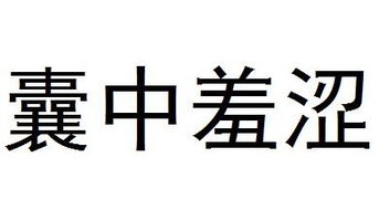 囊中羞涩是什么意思啊?