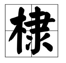 棣怎么读音正确，棣怎么读姓氏
