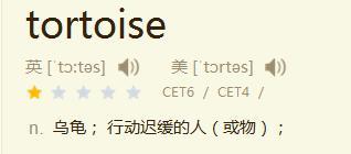 乌龟英语怎么读