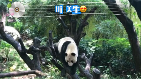 大河向东流啊歌词，大河向东流啊原唱完整版