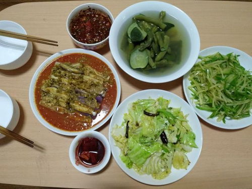 茹素读音，茹素天锦