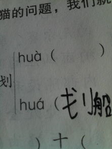 “情”的组词有哪些?