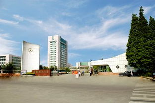 安徽财经大学2022年招生人数