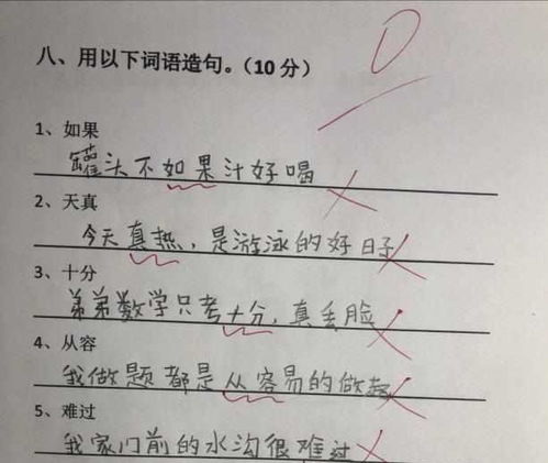 有的有的有的有的造句子二年级，什么有的有的有的有的造句