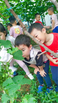 我喜欢的季节是什么季节?