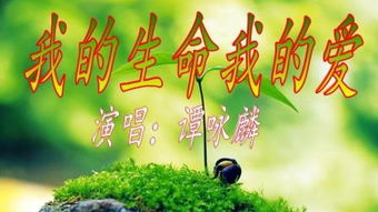 香港电视剧大时代的主题曲叫什么