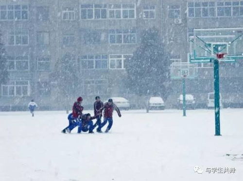 下雪了作文