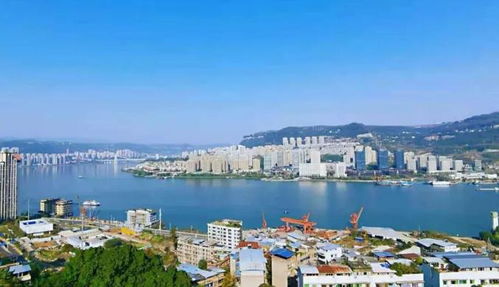 重庆市万州区2010年12月31日是是什么天气