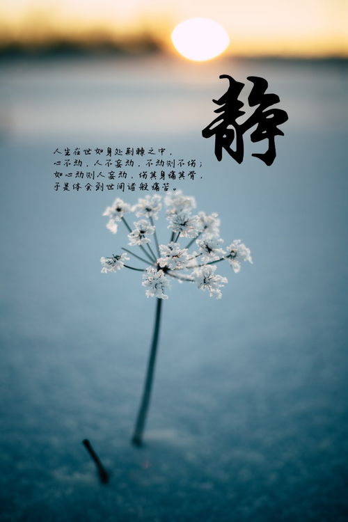 静心咒，静心经全文念诵