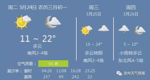 河北沧州天气预报 未来三天，河北沧州天气预报15天准确率