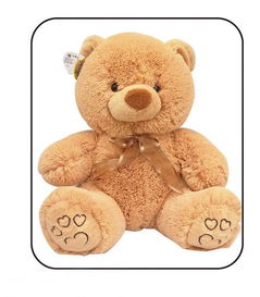 teddybear怎么读，teddybear怎么翻译