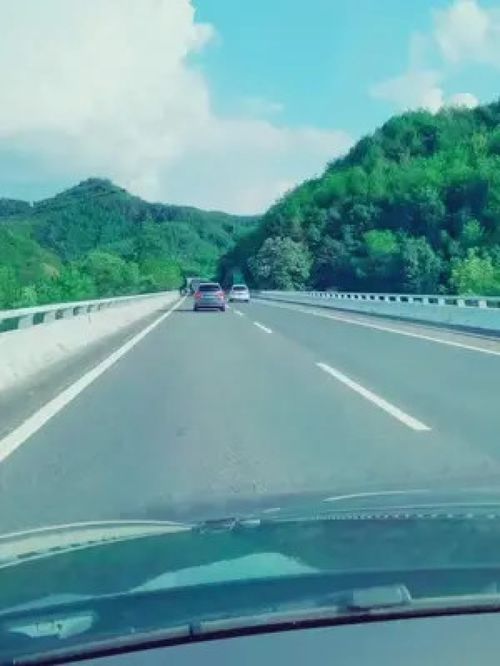 东奔西走的意思是什么 东奔西走造句 近义词反义词