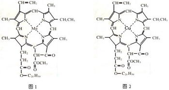 铜的核外电子排布式是什么?