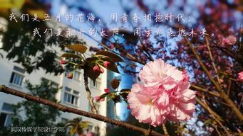 我们是五月的花海歌曲，我们是五月的花海歌名