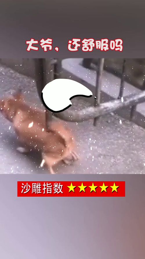 什么再也什么写句子二年级