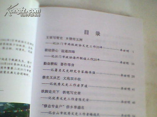 乡情的作文