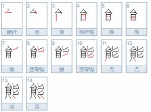 熊的笔顺拼音，通的笔顺和部首