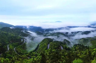 盘龙卧虎高山顶电视剧全集，盘龙卧虎是什么生肖