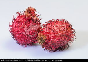毛丹红水果，毛丹青简介
