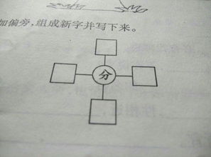 交加偏旁组词语有哪些字，白加偏旁组词