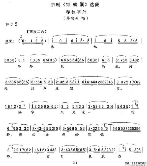 金色琴弦的所有歌的简谱