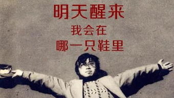 你就是个疯子的英文，疯子的英文缩写