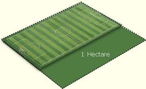 hectares翻译，hectare怎么记忆