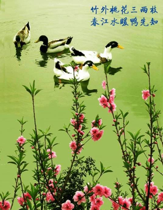 描写春天春景的古诗，春景的古诗词名句
