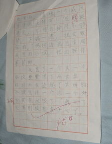 我学会了包饺子作文500字，我学会了包饺子作文450字